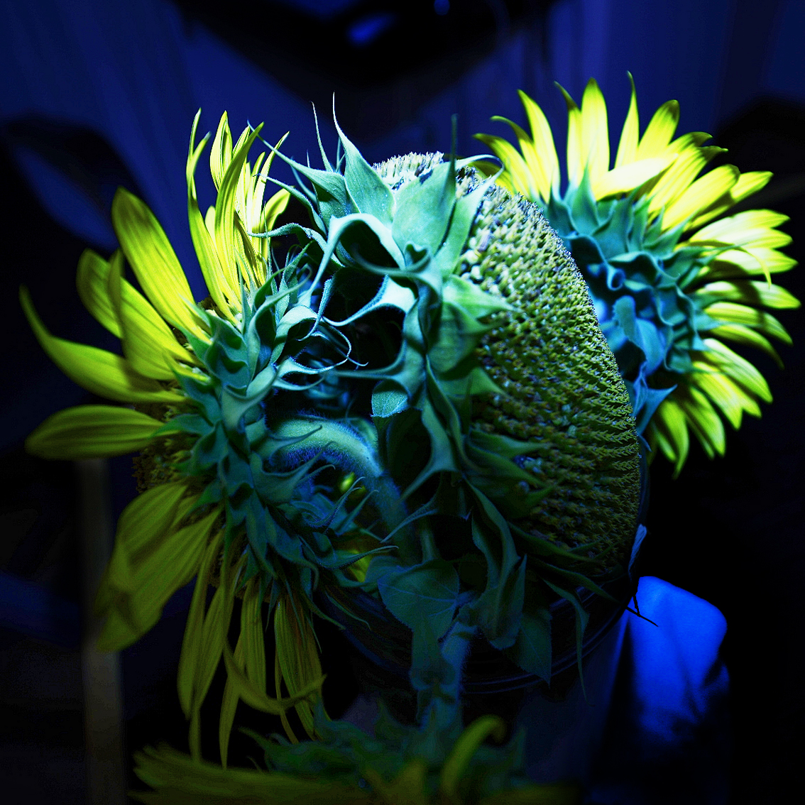 2532012_2729_1