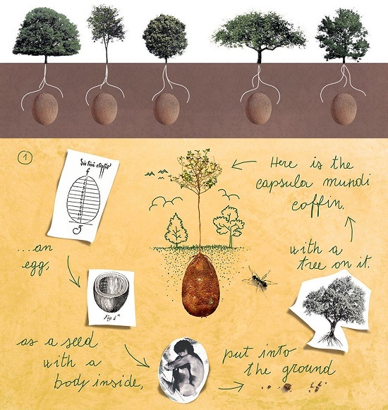 defunti-biodegradabili-alberi